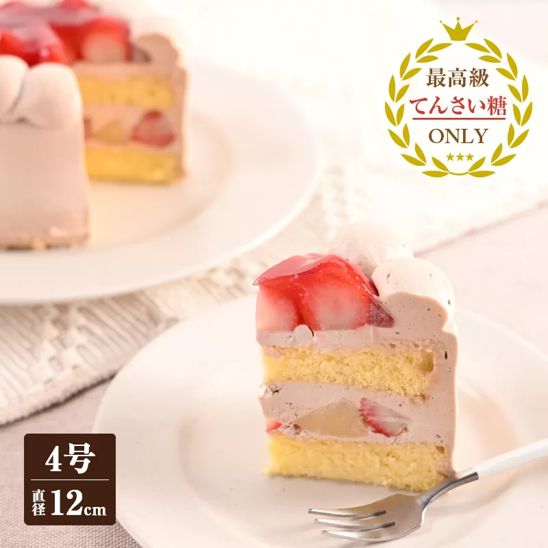 生チョコデコレーション （冷凍ケーキ） 12cm×1台【洋菓子 スイーツ おやつ てんさい糖 冷凍ケーキ】 099H2837