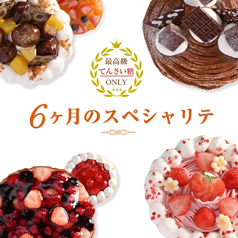 6ヶ月のスペシャリテ 定期便 合計6回【2ヶ月に１回配送 洋菓子 スイーツ おやつ てんさい糖 冷凍】 099Z192