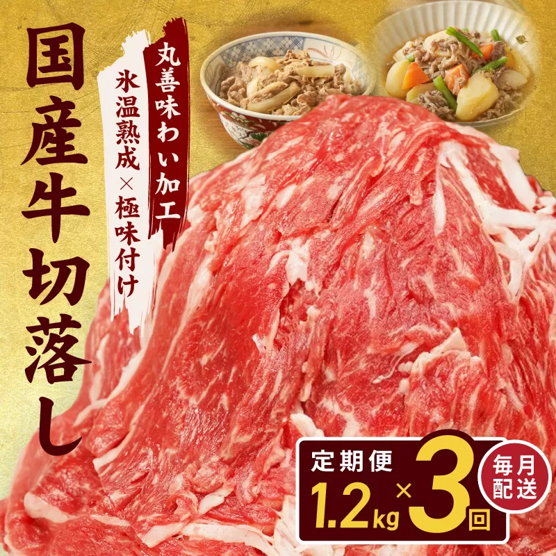 【定期便】国産 牛肉 切り落とし 1.2kg×全3回 総量 3.6kg【国産 牛肉 氷温熟成×極味付け 訳あり サイズ不揃い カレー 牛丼 野菜炒め 肉じゃが 家計応援 毎月配送コース】 099Z306