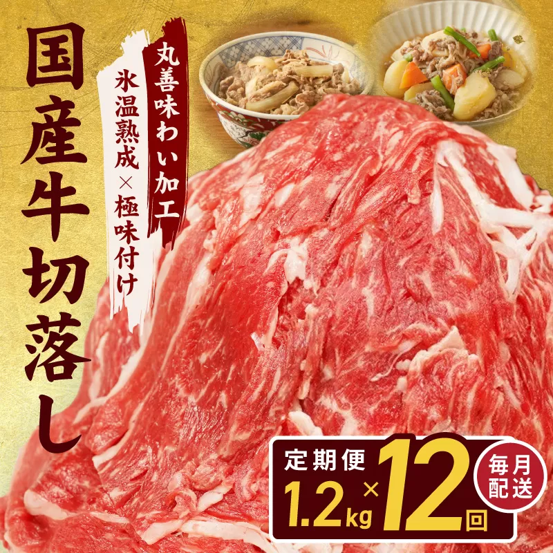 【定期便】国産 牛肉 切り落とし 定期便 1.2kg×全12回 総量 14.4kg【国産 牛肉 氷温熟成×極味付け 訳あり サイズ不揃い カレー 牛丼 野菜炒め 肉じゃが 家計応援 毎月配送コース】 099Z308