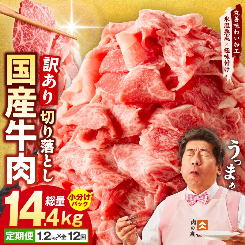 【定期便】国産 牛肉 切り落とし 定期便 1.2kg×全12回 総量 14.4kg【国産 牛肉 氷温熟成×極味付け 訳あり サイズ不揃い カレー 牛丼 野菜炒め 肉じゃが 家計応援 毎月配送コース】 099Z308