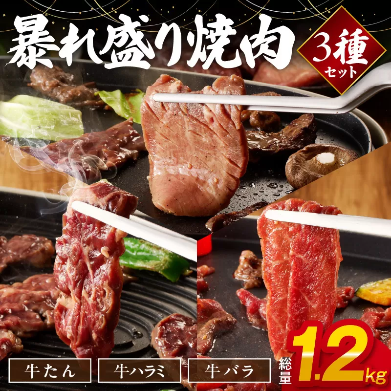 暴れ盛り 焼肉 3種セット 総量 1.2kg (牛タン/牛ハラミ/バラ) 099H2875