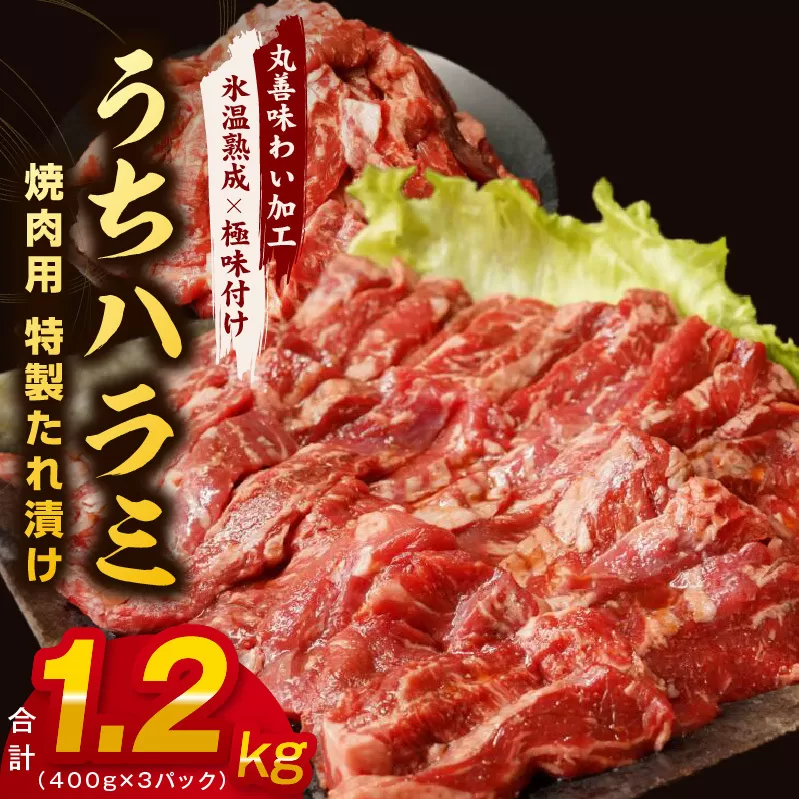 【希少部位】牛肉 うちハラミ 1.2kg 小分け 400g×3P【氷温熟成×特製ダレ 味付き 牛肉 訳あり 不揃い 焼肉 BBQ 野菜炒め】 mrz0029