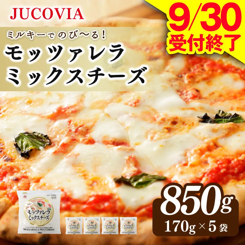 【9/30受付終了】JUCOVIA モッツァレラミックスチーズ 850g【ムラカワチーズ 小分け 170g×5P 普段使い 高評価 ちーず】 099H3527