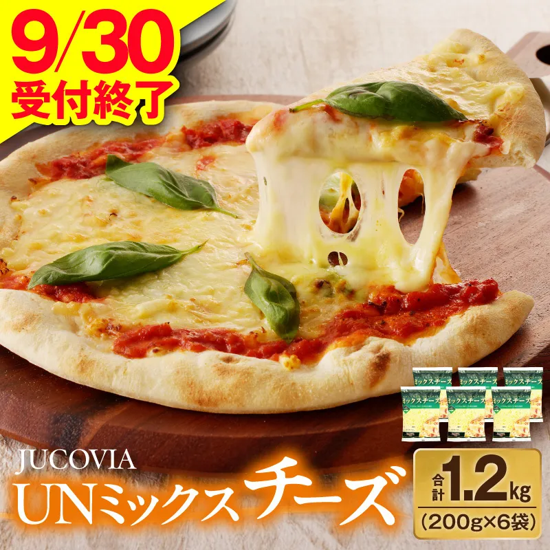 【9/30受付終了】JUCOVIA UNミックスチーズ 1.2kg【ムラカワチーズ 小分け 200g×6P 普段使い 高評価 ちーず】 010B1638
