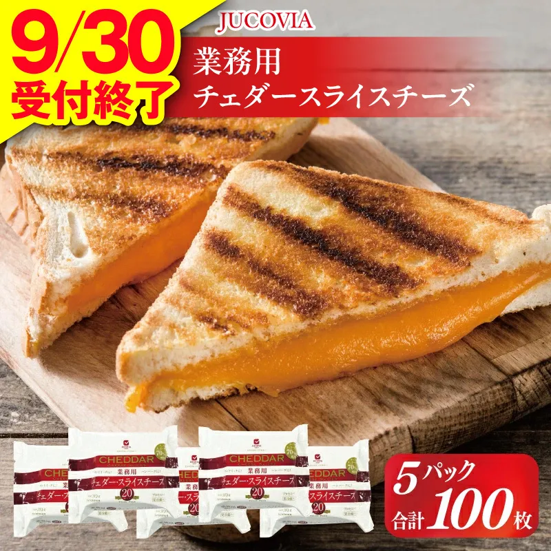 【9/30受付終了】JUCOVIA 業務用チェダースライスチーズ 100枚【ムラカワチーズ 小分け 20枚×5P 普段使い 高評価 ちーず】 010B1639