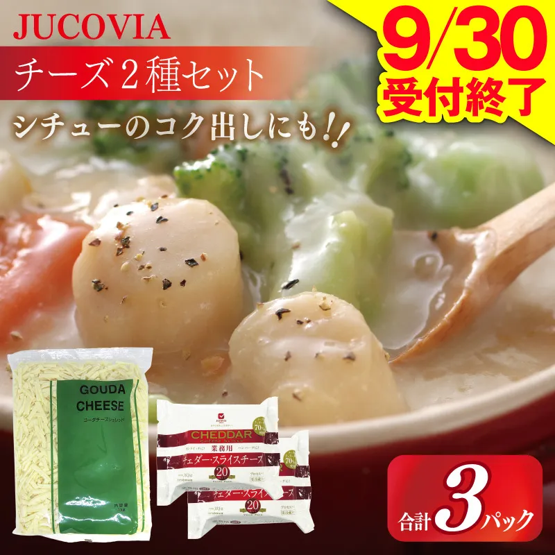 【9/30受付終了】JUCOVIA 業務用 チェダースライスチーズ 20枚×2P・オランダゴーダーシュレッド 1kg×1P【ムラカワチーズ 食べ比べ セット 詰め合わせ 小分け 普段使い 高評価 ちーず】 010B1640