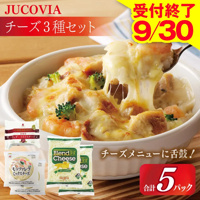 【9/30受付終了】JUCOVIA スライスチーズ1種・シュレッドチーズ2種セット 合計5P【ムラカワチーズ 食べ比べ セット 詰め合わせ 小分け 普段使い 高評価 ちーず】 099H3529