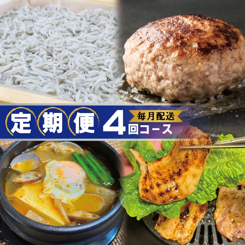 店主セレクト 食べ比べ 定期便 全4回（ハンバーグ／しらす／スンドゥブチゲ／サムギョプサル）【毎月配送コース】 099Z288