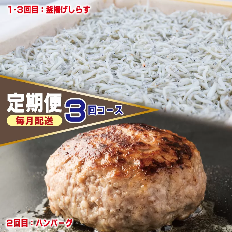 店主セレクト ハンバーグ／しらす 食べ比べ 定期便 全3回【毎月配送コース】 099Z290