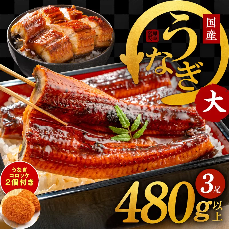 国産うなぎ 3尾 480g以上 大サイズ うなぎコロッケ 2個付き【えびす鰻 うなぎ ウナギ 国産 泉佐野産 1尾160g以上 蒲焼き かばやき 惣菜 冷凍 うな重 ひつまぶし 惣菜 先行予約】 G1690