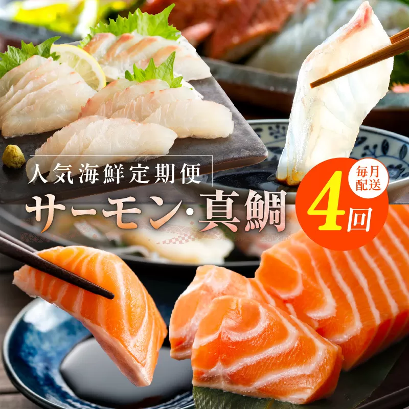 人気海鮮定期便 サーモン／真鯛 食べ比べ 全4回【毎月配送コース 小分け 訳あり サイズ不揃い 刺身 海鮮丼 人気 オススメ 冷凍】】 099Z273