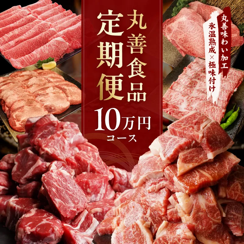 丸善食品 定期便 全6回 10万円コース 丸善味わい加工【毎月配送コース】 099Z238