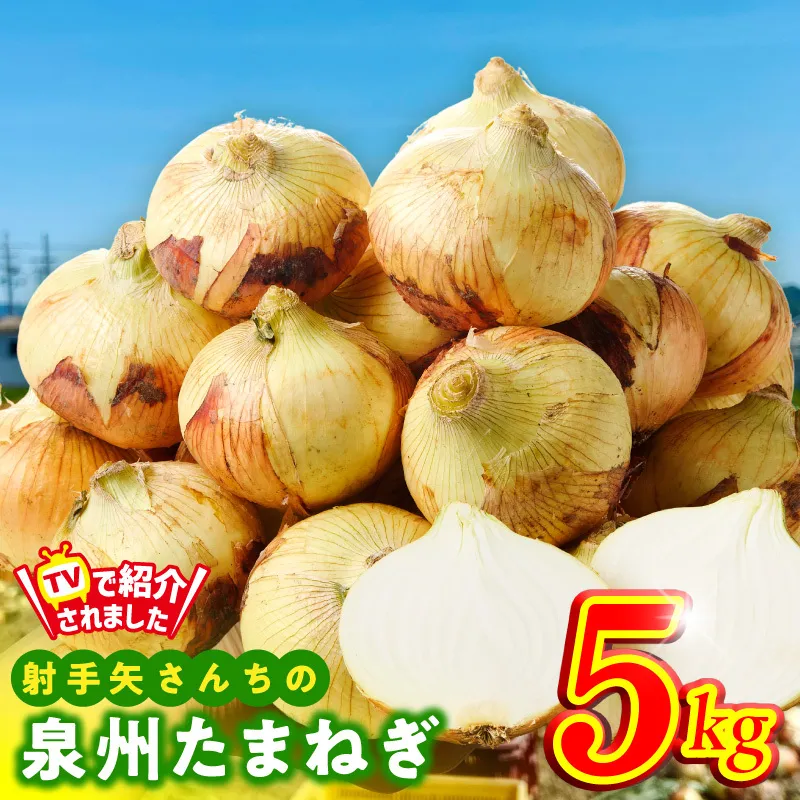 射手矢さんちの泉州たまねぎ 5kg【玉ねぎ タマネギ 玉葱 甘い 野菜 国産 期間限定 オニオン スライス サラダ カレー シチュー バーベキュー BBQ 肉じゃが TVで紹介！】 G3683