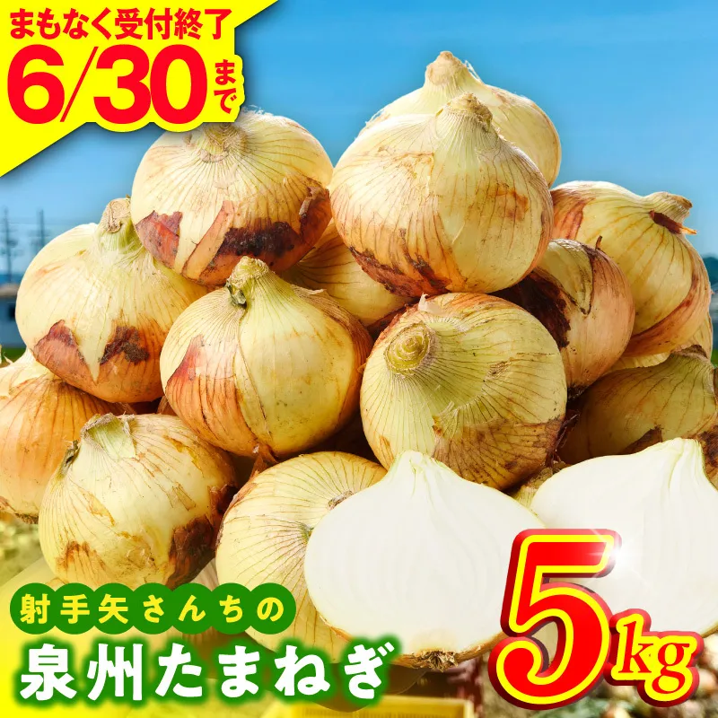 【6月30日受付終了】射手矢さんちの泉州たまねぎ 5kg【玉ねぎ タマネギ 玉葱 甘い 野菜 国産 期間限定 オニオン スライス サラダ カレー シチュー バーベキュー BBQ 肉じゃが TVで紹介！】 G3683