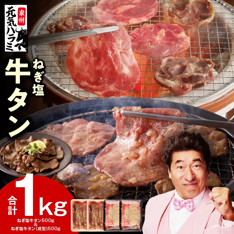 ねぎ塩 牛タン 食べ比べセット 合計 1kg（牛タン 500g／成型牛たん 500g）【焼肉用 焼くだけ 小分け BBQ やきにく】 099H3158