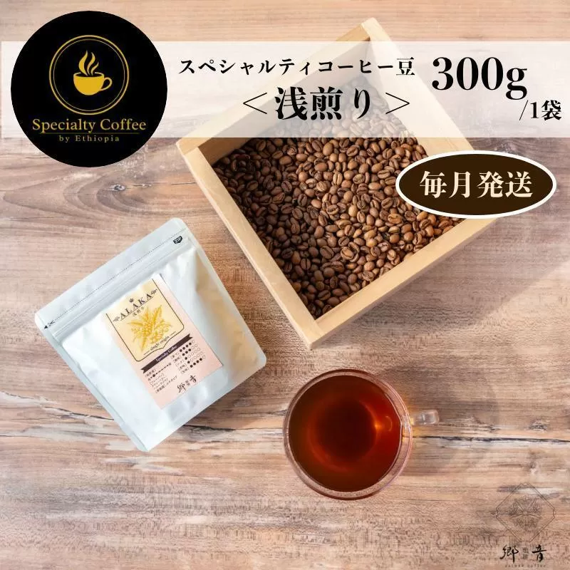 スペシャルティコーヒー焙煎豆 浅煎り 300g 定期便 全12回 12か月【毎月配送 珈琲 COFFEE コーヒー オリジナル キャンプ アウトドア】 G1404