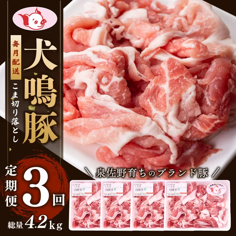 犬鳴豚の小間切り落とし 1.4kg（約350g×4パック）×3回 総量4.2kg 定期便 3か月【毎月配送コース 国産 豚肉 工場直送 ぶた 小分け 簡単調理 期間限定 数量限定】 G1413