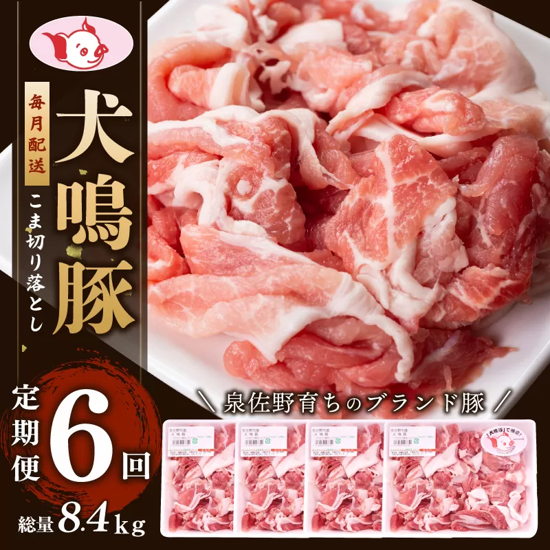 犬鳴豚の小間切り落とし 1.4kg（約350g×4パック）×6回 総量8.4kg  定期便 6か月【毎月配送コース 国産 豚肉 工場直送 ぶた 小分け 簡単調理 期間限定 数量限定】 G1414