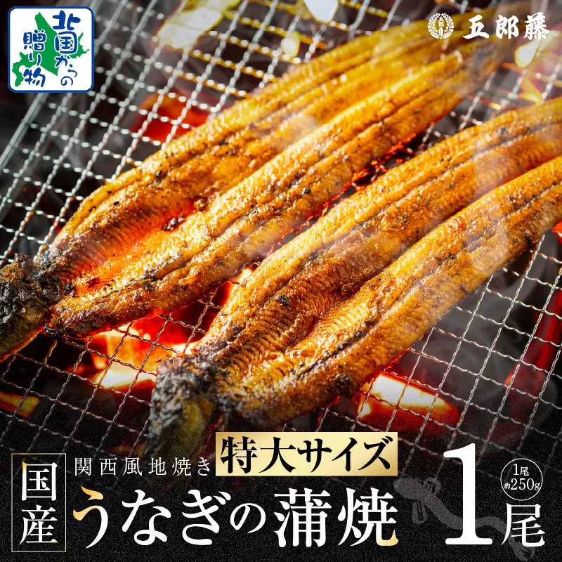 【ビッグサイズ】老舗五郎藤 国産 旨鰻 250g×1尾【関西風地焼き 特大 うなぎ ウナギ 蒲焼き 炭火 数量限定 有頭 北国からの贈り物 厳選】 099H3443
