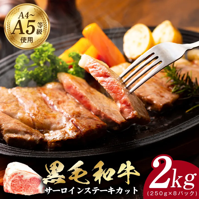 A5/A4ランク 黒毛和牛 サーロインステーキ カット 合計2kg（250g×8P）【極味付け肉】 CFX0061