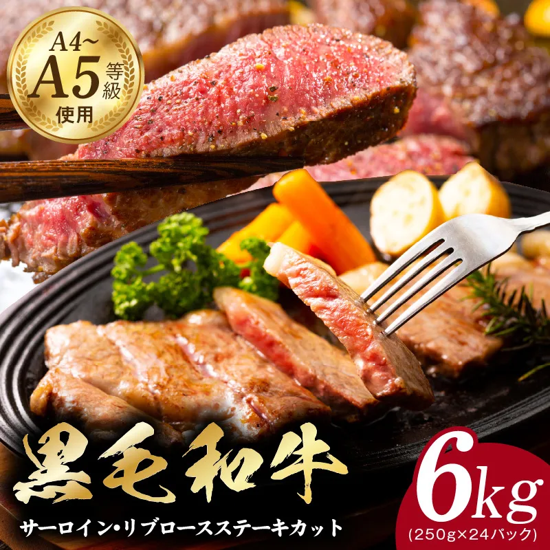 A5/A4ランク 黒毛和牛 サーロイン/リブロース ステーキカット 合計6kg（各250g×12P）【極味付け肉】 CFX0070
