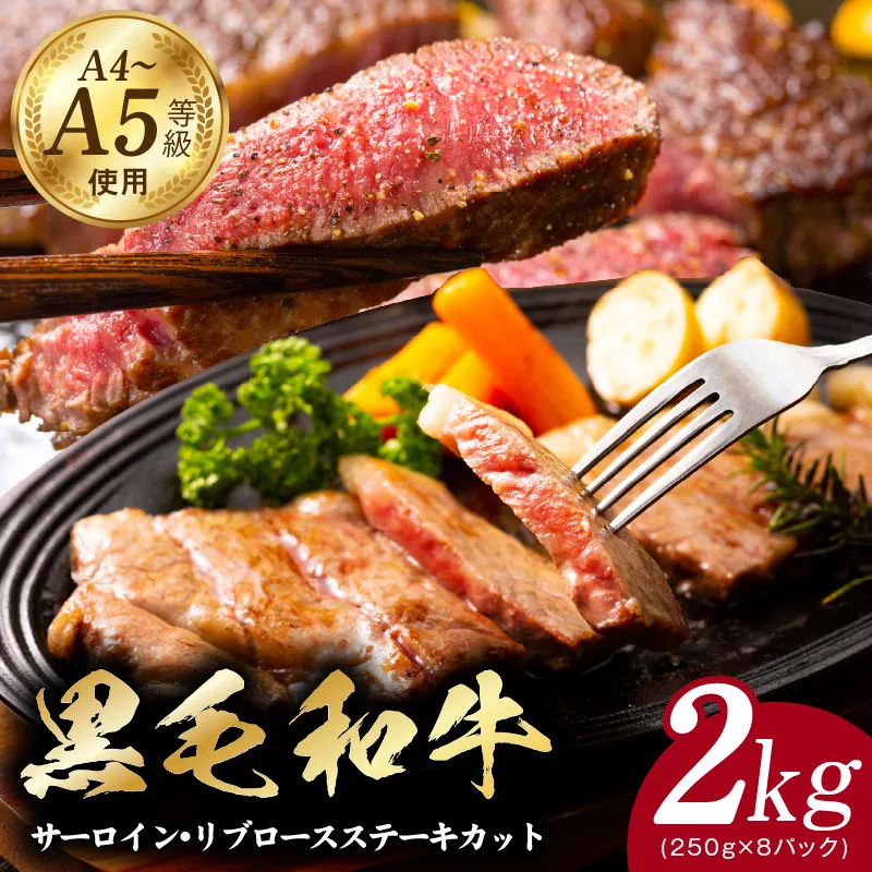A5/A4ランク 黒毛和牛 サーロイン/リブロースステーキカット 合計2kg（各250g×4P）【極味付け肉】 CFX0068
