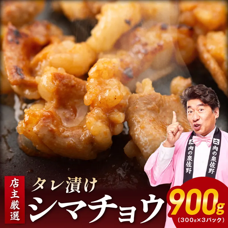 シマチョウ タレ漬 900g(300g×3パック) テッチャン シマ腸 小分け 時短 焼くだけ 簡単 099H3171