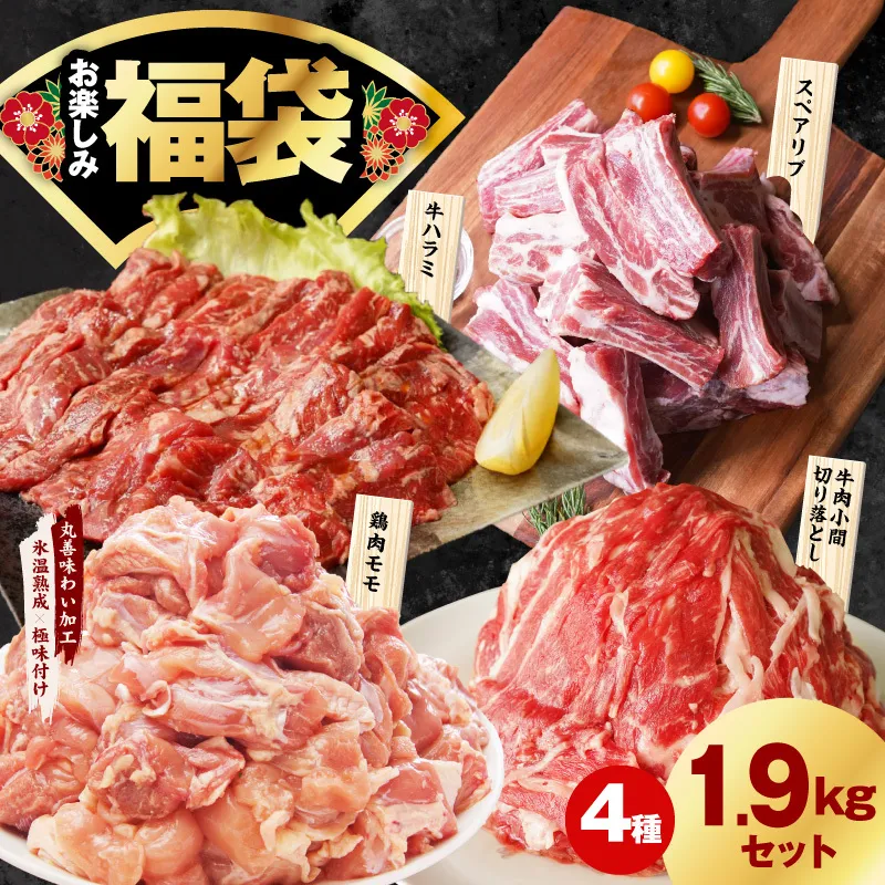肉福袋 4種 1.9kg 焼肉セット（牛肉 切り落とし／牛ハラミ／豚肉 スペアリブ／鶏肉）【氷温熟成×極味付け 焼くだけ 食べ比べ ふくぶくろ お楽しみ 簡単調理】 mrz0327