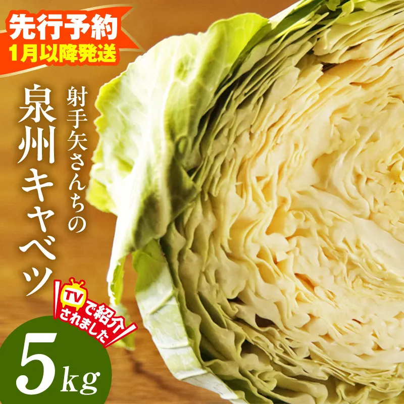 【先行予約】泉州キャベツ 5kg 2～5玉 射手矢農園 訳あり サイズ不揃い【新鮮 野菜 泉佐野産 やさい 射手矢農園 高評価 数量限定】 G4292