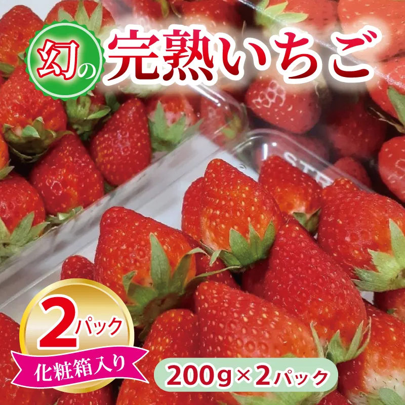【特別規格】朝摘み完熟いちご 2パック【化粧箱入り 200g×2P 苺 イチゴ フルーツ 果物】 G1631