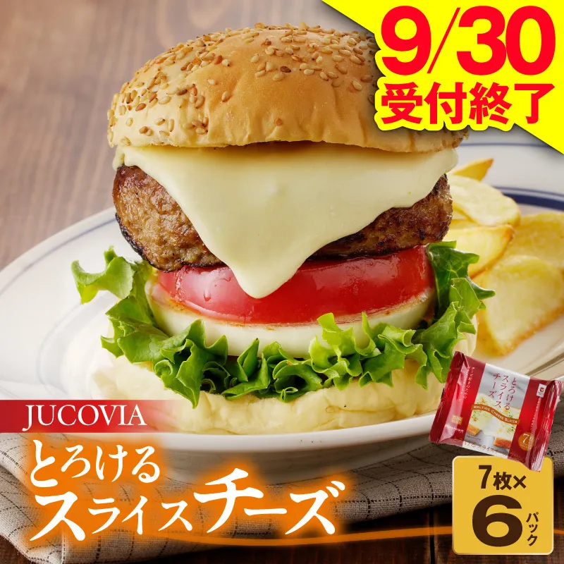 【9/30受付終了】とろけるスライスチーズ 7枚×6P【JUCOVIA ムラカワチーズ ちーず 小分け 普段使い 高評価】 005A648