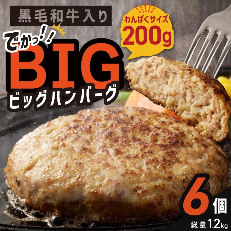 黒毛和牛入り BIGハンバーグ 200g×6個 005A657