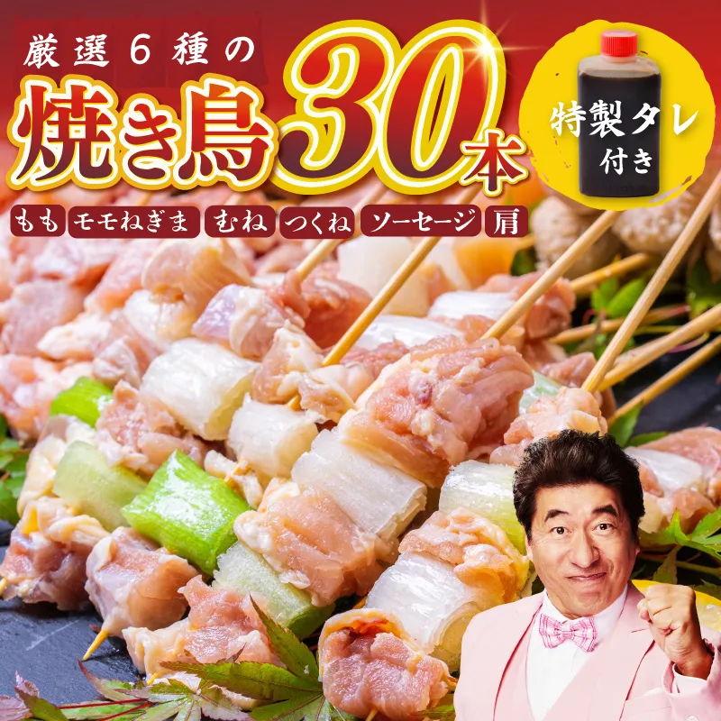 桜文 焼き鳥 6種30本セット やきとりのタレ付き 個包装 G1738