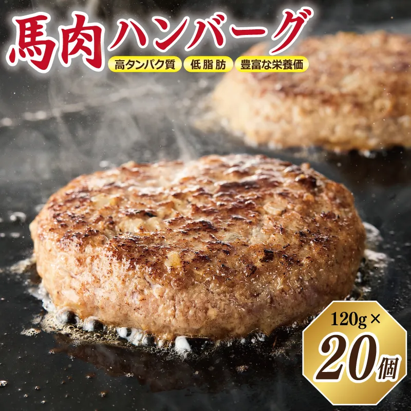 桜文 馬肉ハンバーグ 総量2.4kg（120g×20個） 個包装 099H3402