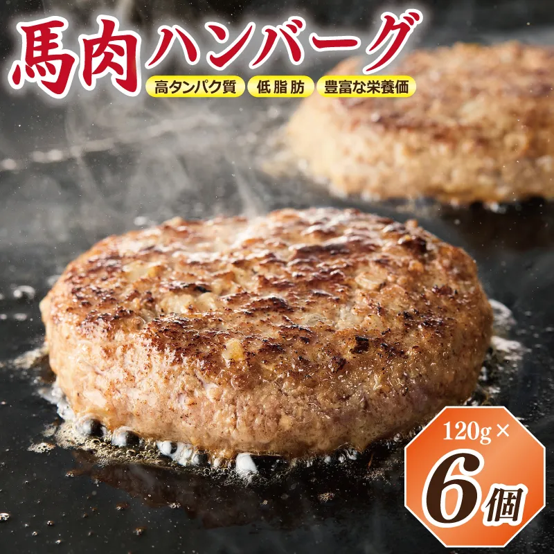 【特別規格】桜文 馬肉ハンバーグ 総量720g（120g×6個） 個包装 お試し 005A659