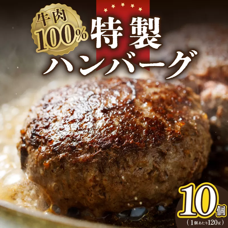 牛肉100％ 特製ハンバーグ 120g×10個 個包装 005A660