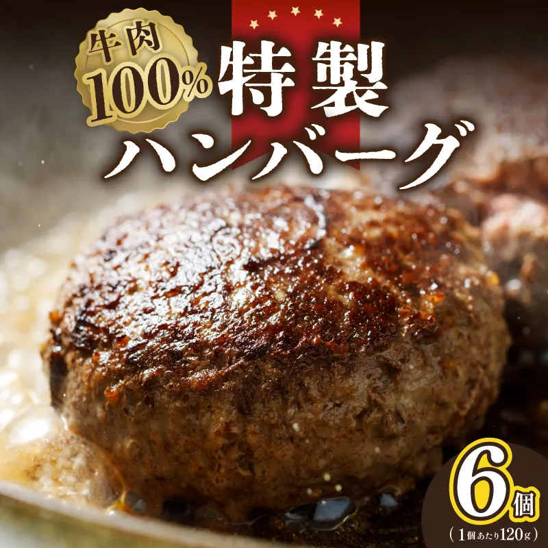 【特別規格】牛肉100％ 特製ハンバーグ 120g×6個 個包装 お試し G1731