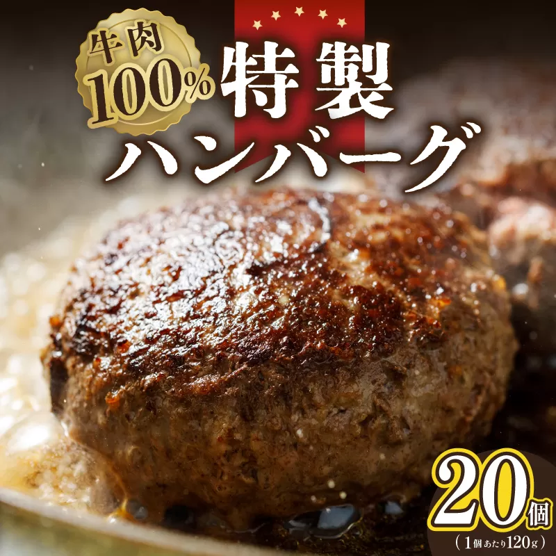 牛肉100％ 特製ハンバーグ 120g×20個 個包装 099H3405