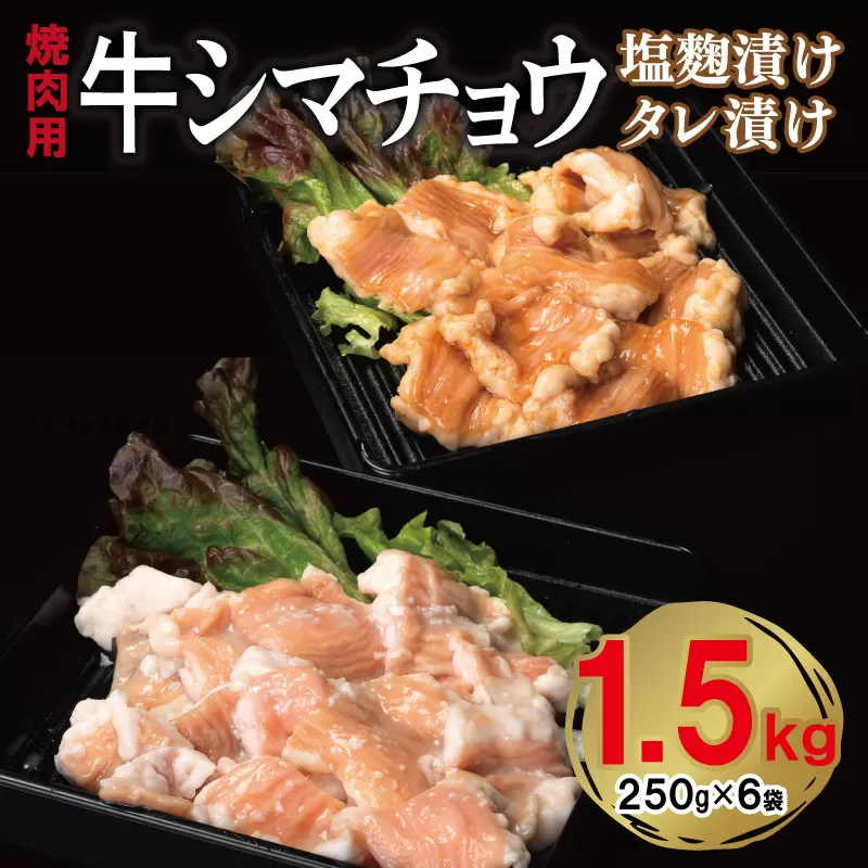 牛シマチョウ 焼肉用 塩麹・タレ漬けセット 合計1.5kg【味付け 小分け 焼くだけ 簡単調理 BBQ 牛肉 ホルモン 250g×6袋】 099H3379