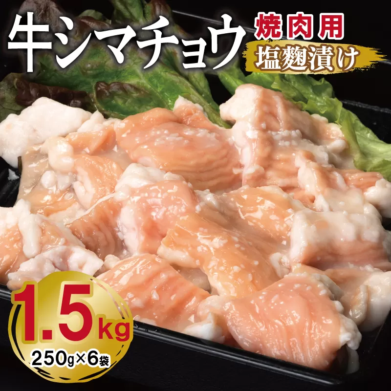 牛シマチョウ 焼肉用 塩麹漬け 合計1.5kg【味付け 小分け 焼くだけ 簡単調理 BBQ 牛肉 ホルモン 250g×6袋】 099H3380