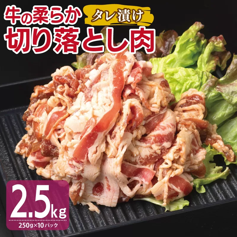 牛肉 切り落とし タレ漬け 合計2.5kg【味付け 小分け 焼くだけ 簡単調理 BBQ 牛肉 250g×10袋】 099H3383