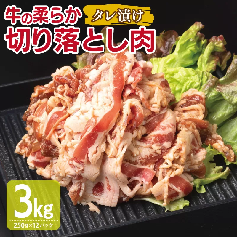 牛肉 切り落とし タレ漬け 合計3kg【味付け 小分け 焼くだけ 簡単調理 BBQ 牛肉 250g×12袋】 099H3384