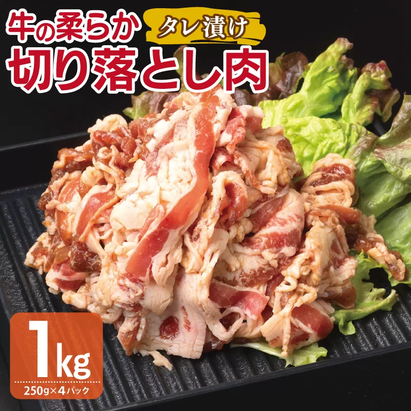 牛肉 切り落とし タレ漬け 合計1kg【味付け 小分け 焼くだけ 簡単調理 BBQ 牛肉 250g×4袋】 099H3385