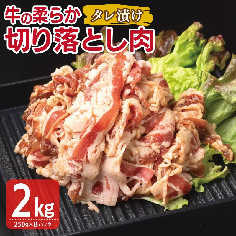 牛肉 切り落とし タレ漬け 合計2kg【味付け 小分け 焼くだけ 簡単調理 BBQ 牛肉 250g×8袋】 099H3386