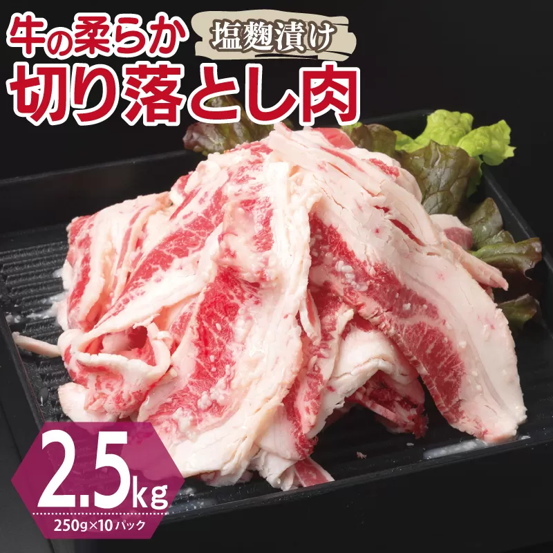 牛肉 切り落とし 塩麹漬け 合計2.5kg【味付け 小分け 焼くだけ 簡単調理 BBQ 牛肉 250g×10袋】 099H3387