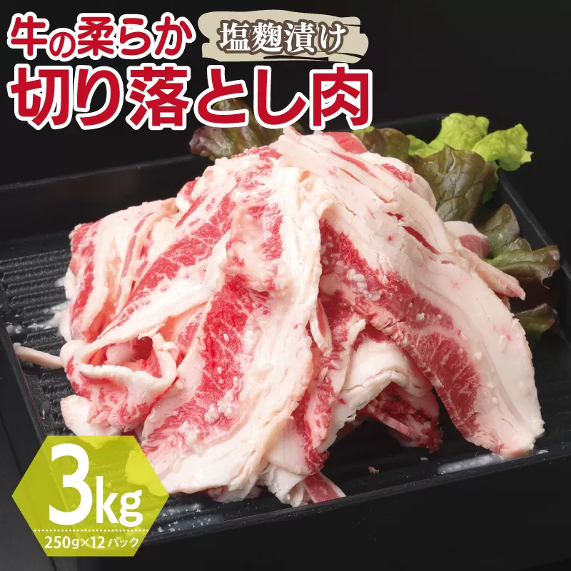 牛肉 切り落とし 塩麹漬け 合計3kg【味付け 小分け 焼くだけ 簡単調理 BBQ 牛肉 250g×12袋】 099H3388