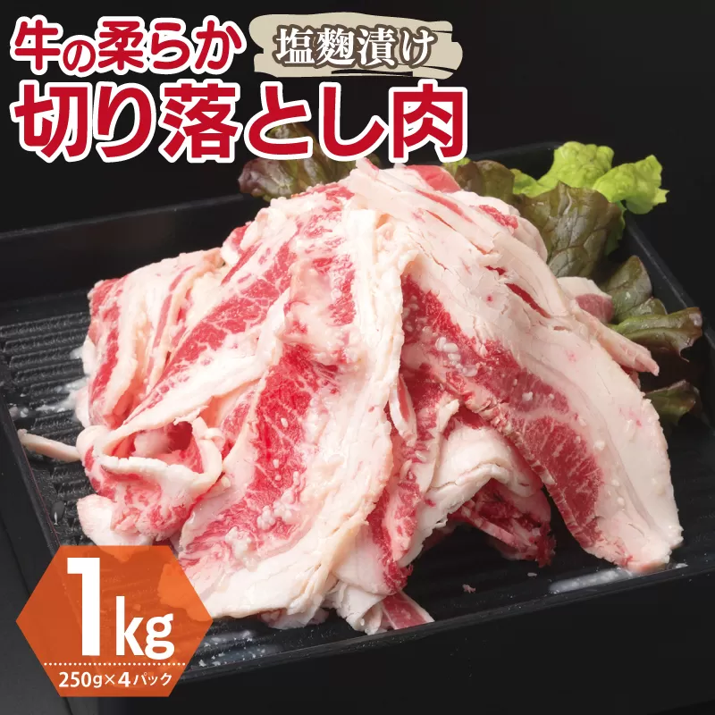 牛肉 切り落とし 塩麹漬け 合計1kg【味付け 小分け 焼くだけ 簡単調理 BBQ 牛肉 250g×4袋】 099H3389
