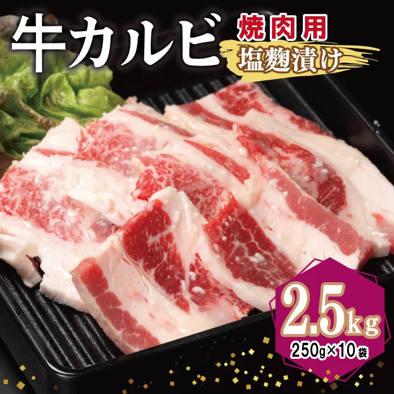 牛カルビ 焼肉用 塩麹漬け 合計2.5kg【味付け 小分け 焼くだけ 簡単調理 BBQ 牛肉 250g×10袋】 099H3394