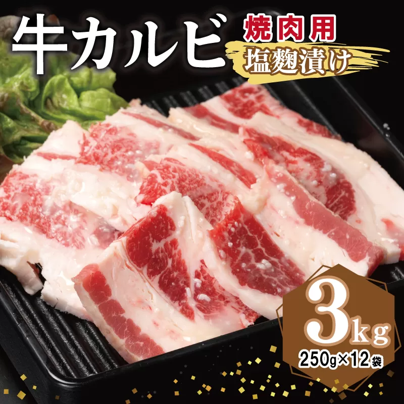 牛カルビ 焼肉用 塩麹漬け 合計3kg【味付け 小分け 焼くだけ 簡単調理 BBQ 牛肉 250g×12袋】 099H3395